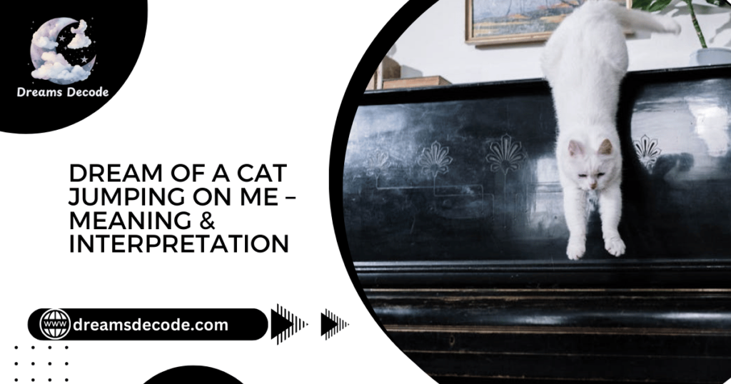 Dream of a Cat Jumping on Me – Meaning & Interpretation 2025