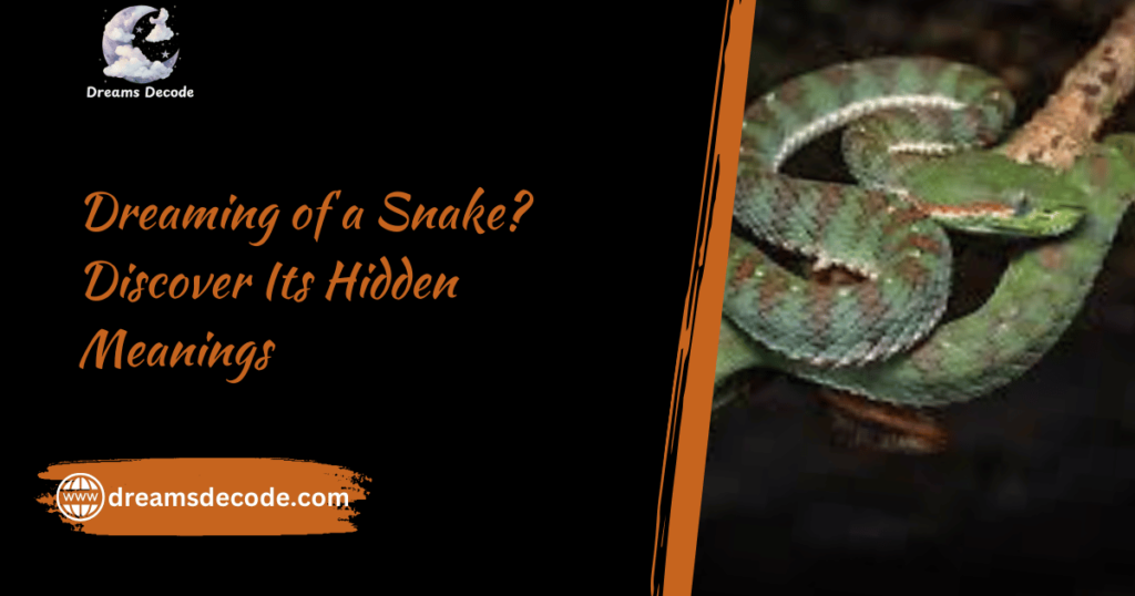 Dreaming of a Snake? Discover Its Hidden Meanings 2025