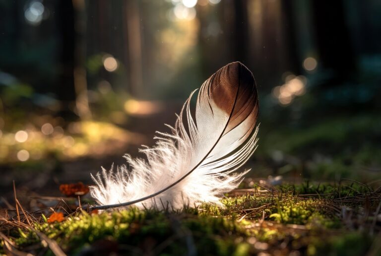 White and Brown Feather Meaning: Spiritual Symbolism & Messages